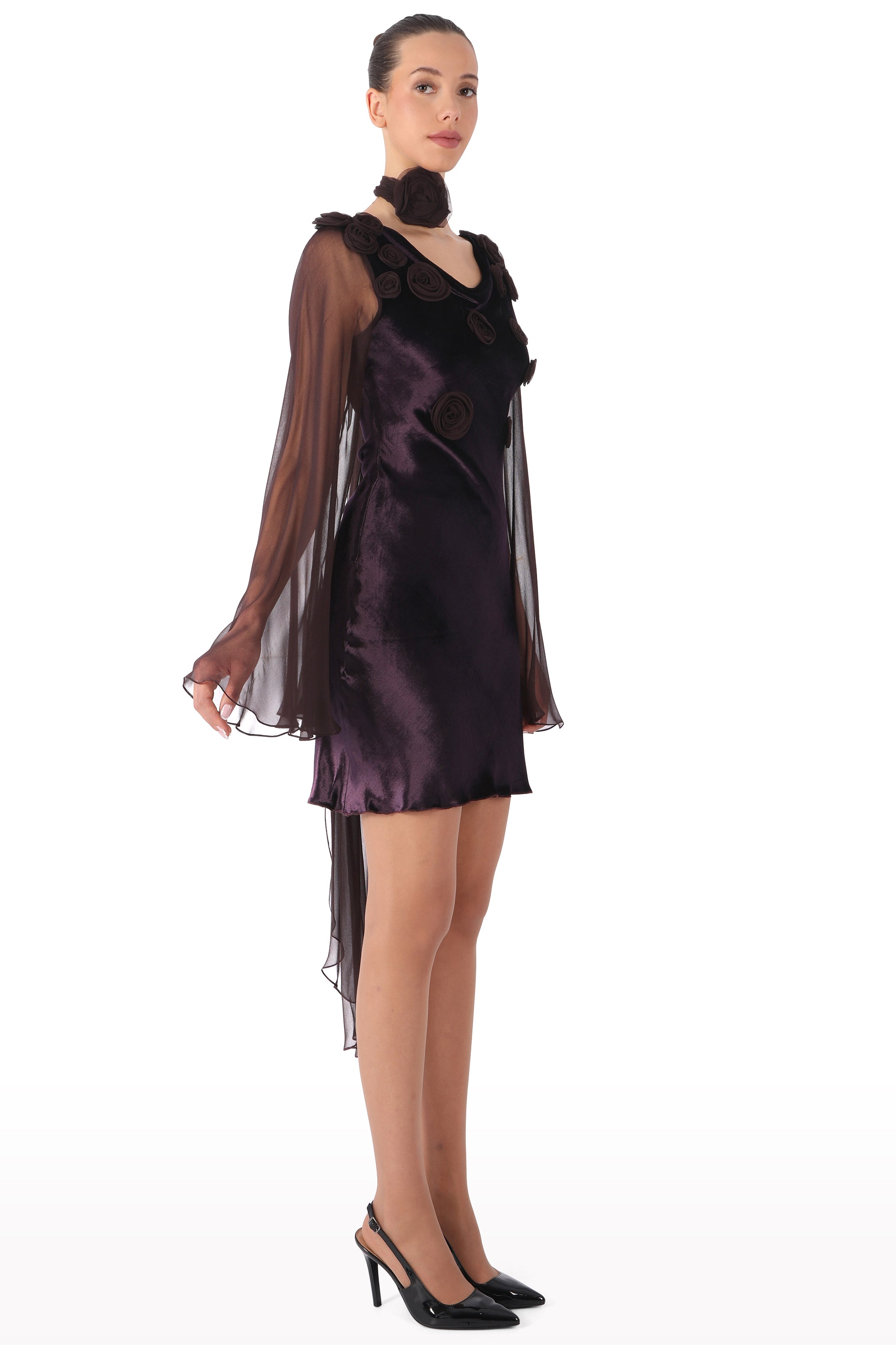 Floral-Embellished Dress with Sheer Sleeves